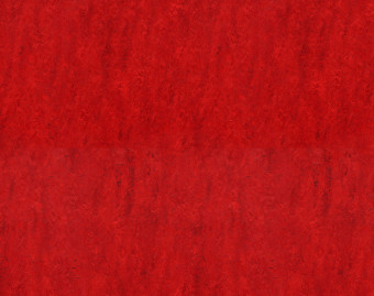 [100111111_31] Marmoleum Real - 3127 Bleeckerstreet